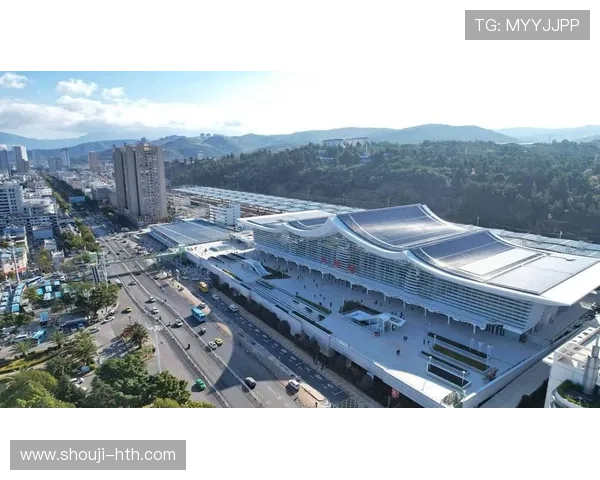 华体会pizza:平台多元化服务布局满足不同用户群体的多样化需求